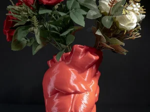 Vaza Realistic Heart