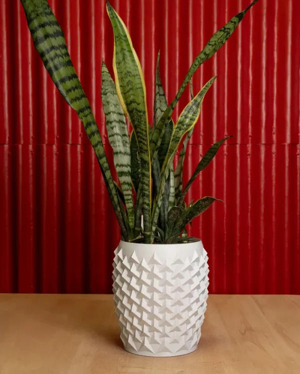 Vaza Pointy Flowerpot